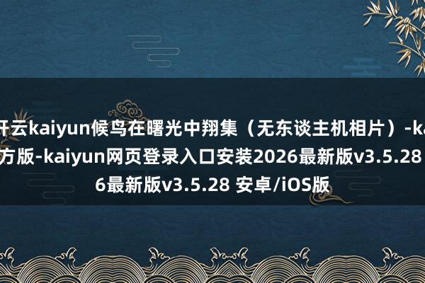 开云kaiyun候鸟在曙光中翔集（无东谈主机相片）-kaiyunapp官方版-kaiyun网页登录入口安装2026最新版v3.5.28 安卓/iOS版