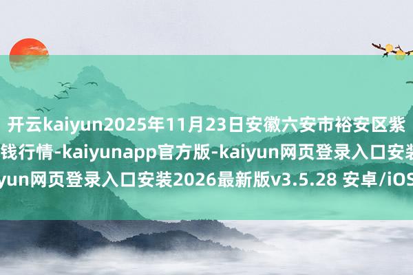 开云kaiyun2025年11月23日安徽六安市裕安区紫竹林