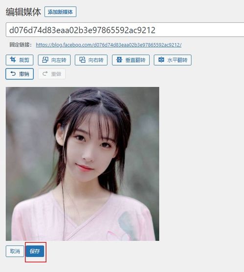 2021年wordpress博客装修美化 一